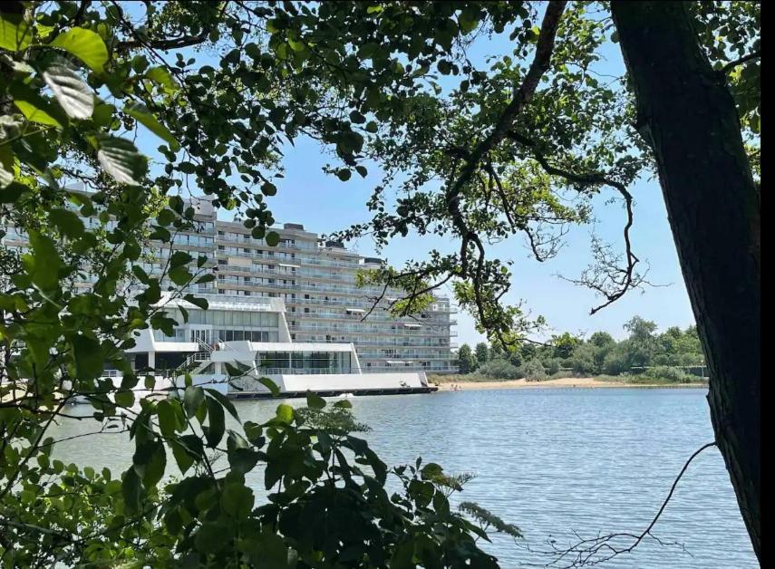 Studio cosy à 2 pas de la mer Knokke-Heist Eksteriør bilde